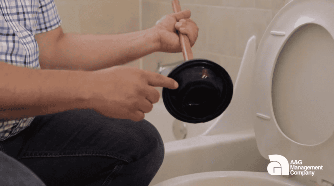 How to unclog your toilet