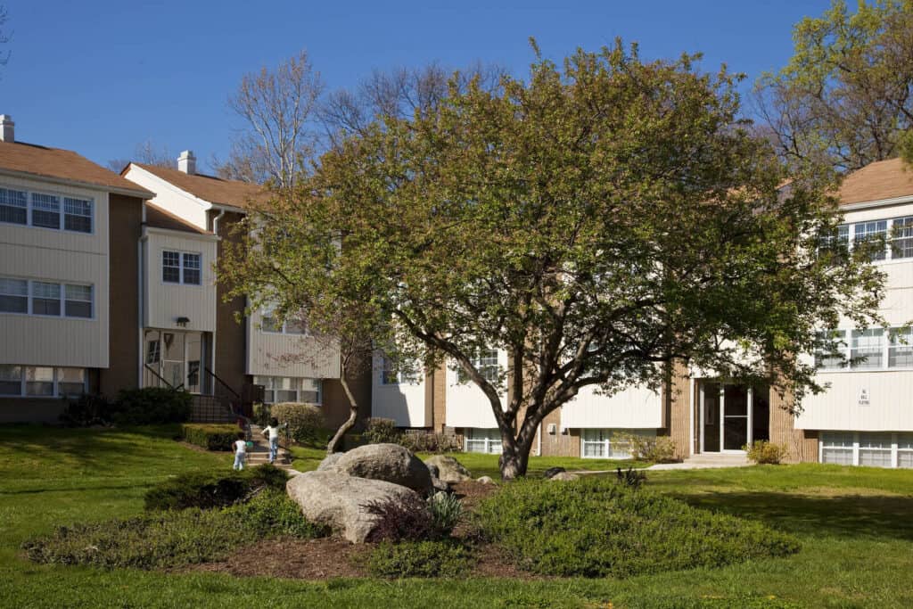 rocks tree buildings