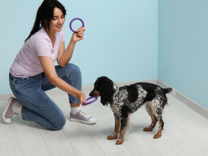 How to Keep Your Apartment Clean When You Have Pets