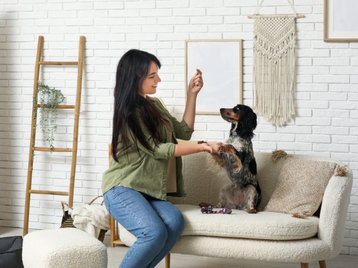 Pet-Friendly Living in Maryland