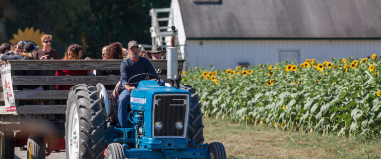 Fall Festivals in Anne Arundel County