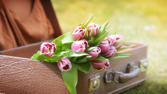 Best Parks to Visit This Spring